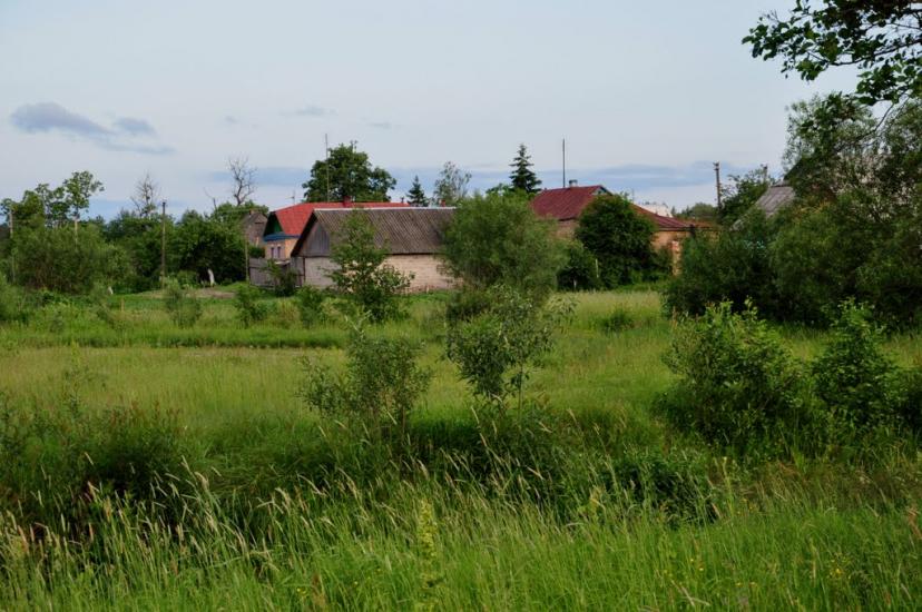 Рудня-Шпилівська з panoramio.com - Рудня-Шпилевская