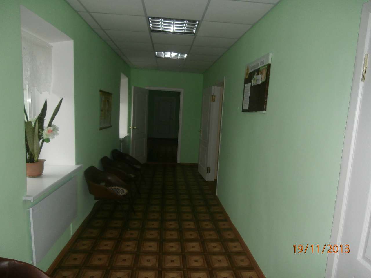 Скотареве - Скотареве