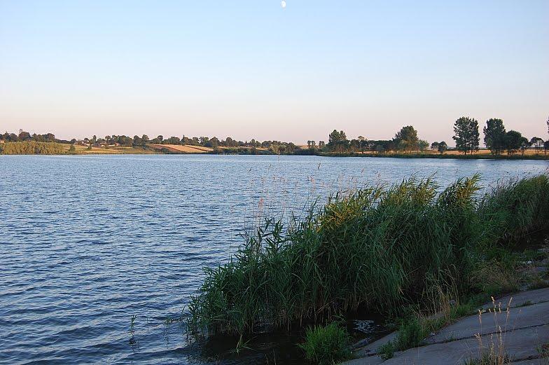 Рогізне з panoramio.com - Рогозное