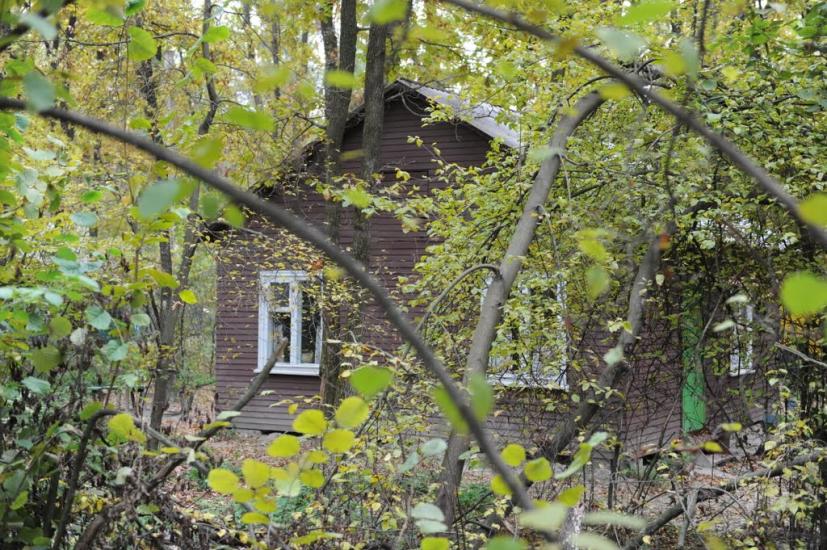 Заріччя з panoramio.com - Заречье