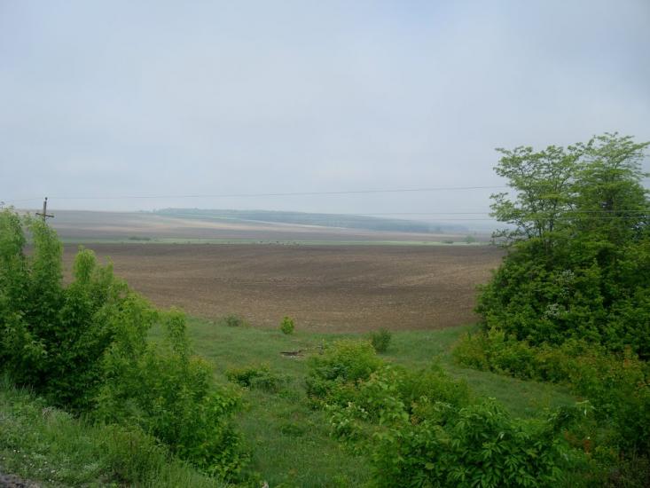 Нестерівці з panoramio.com - Нестеровцы