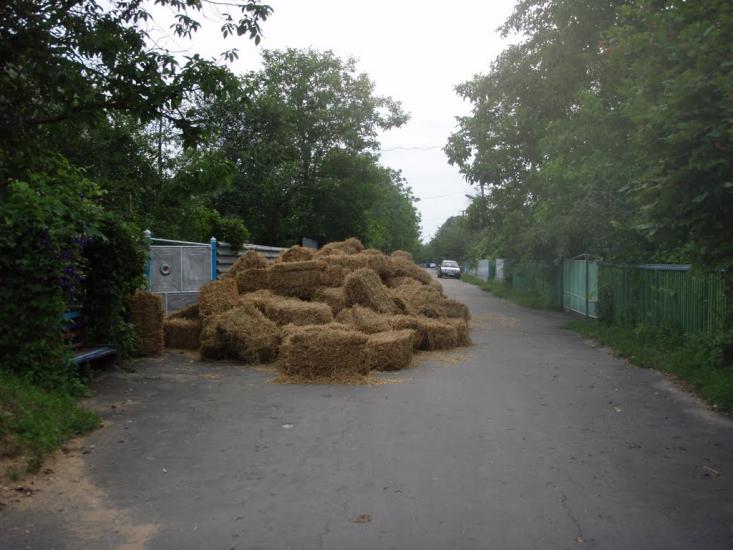 Лісоводи з panoramio.com - Лісоводи