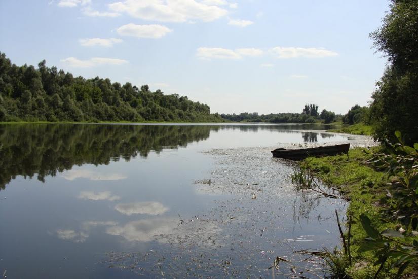 Оболоння з panoramio.com - Obolonnya