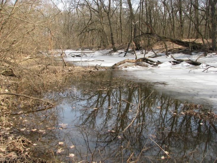 Підлісне з panoramio.com - Pidlisne
