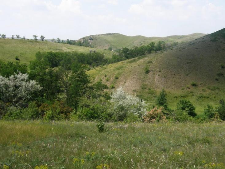 Нагольно-Тарасівка з panoramio.com - Нагольно-Тарасівка