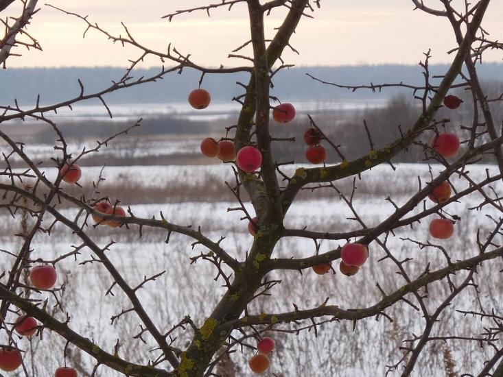 Мощена з panoramio.com - Мощена