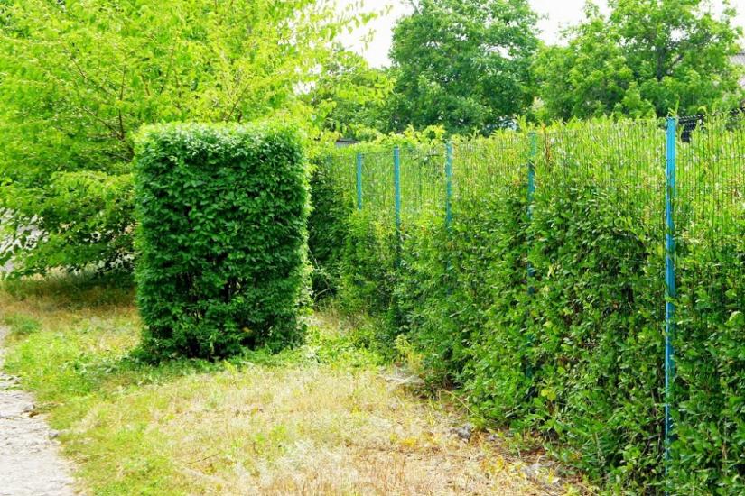 Юнокомунарівськ з panoramio.com - Юнокомунаровск