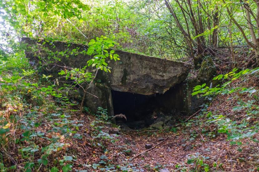 Княгиня з panoramio.com - Княгиня
