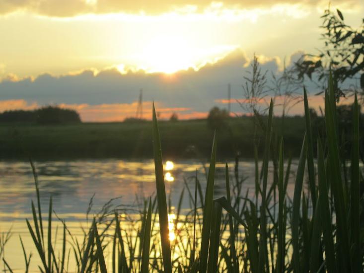 Усичі з panoramio.com - Усичі