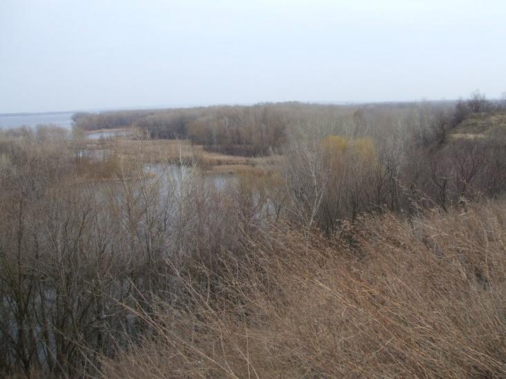 Чикалівка з panoramio.com - Чикаловка
