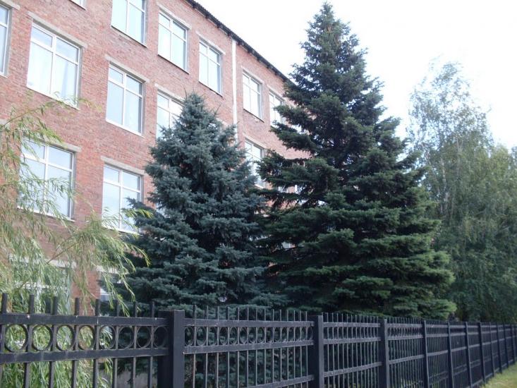 Зимівники з panoramio.com - Зимовники