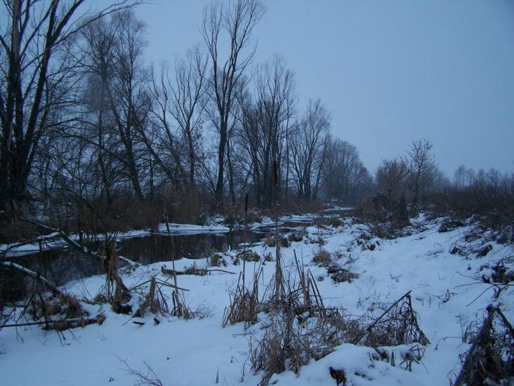 Гуртовівка з panoramio.com - Гуртовівка
