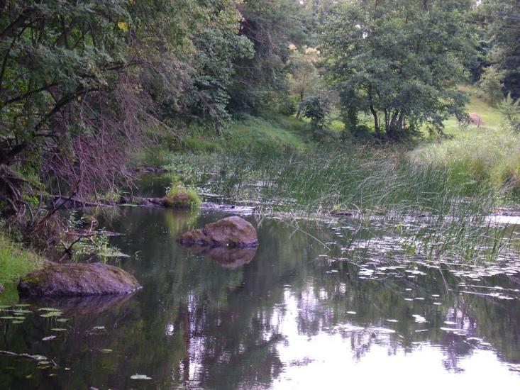 Березневе з panoramio.com - Березневе