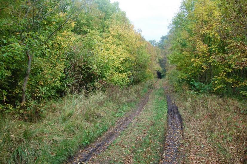 Серебрянка з panoramio.com - Serebryanka