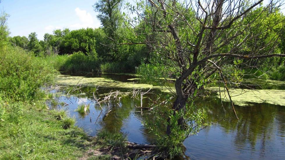 Сиваш з panoramio.com - Сиваш