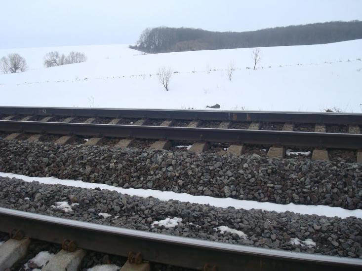 Лозове з panoramio.com - Лозове