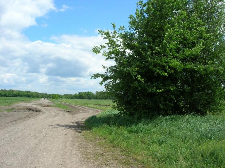 Радушне з panoramio.com - Радушное
