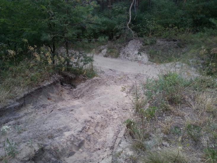 Княжичі з panoramio.com - Княжичи