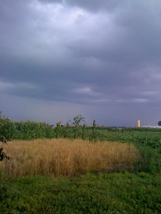 Шепелівка з panoramio.com - Шепелівка