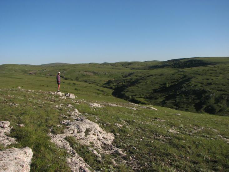 Пчолине з panoramio.com - Пчелиное
