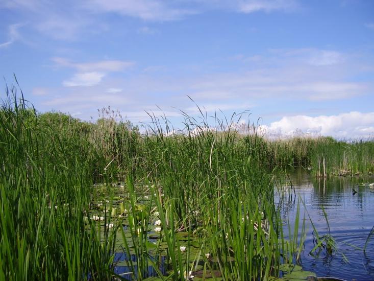 Лозове з panoramio.com - Лозове