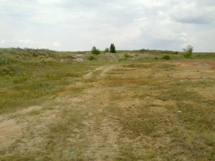 Красний Партизан з panoramio.com - Красний Партизан