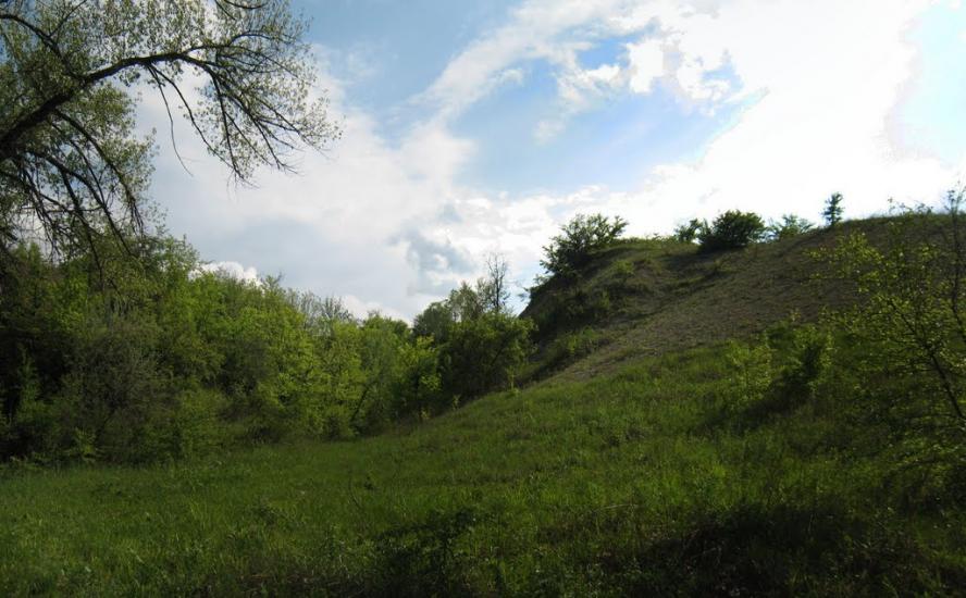 Кружилівка з panoramio.com - Kruzhylivka
