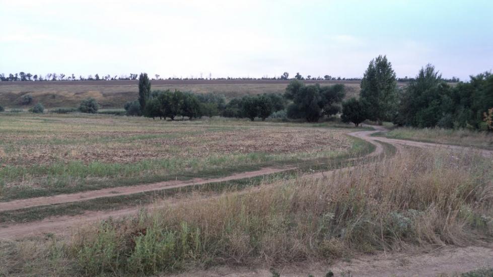 Новгородське з panoramio.com - Новгородське