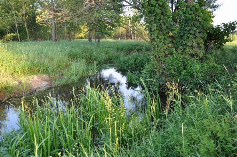 Рудня-Шпилівська з panoramio.com - Рудня-Шпилевская