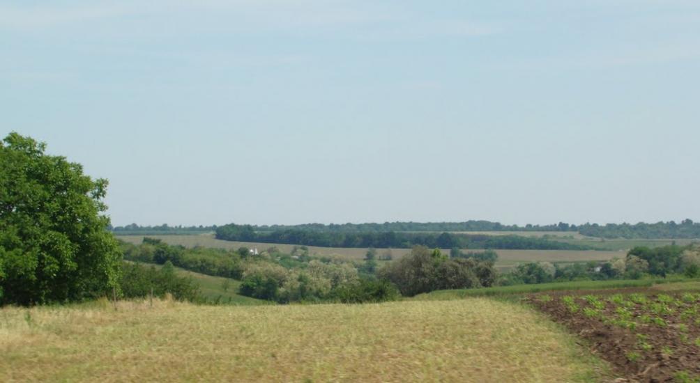 Ребедайлівка з panoramio.com - Rebedaylivka