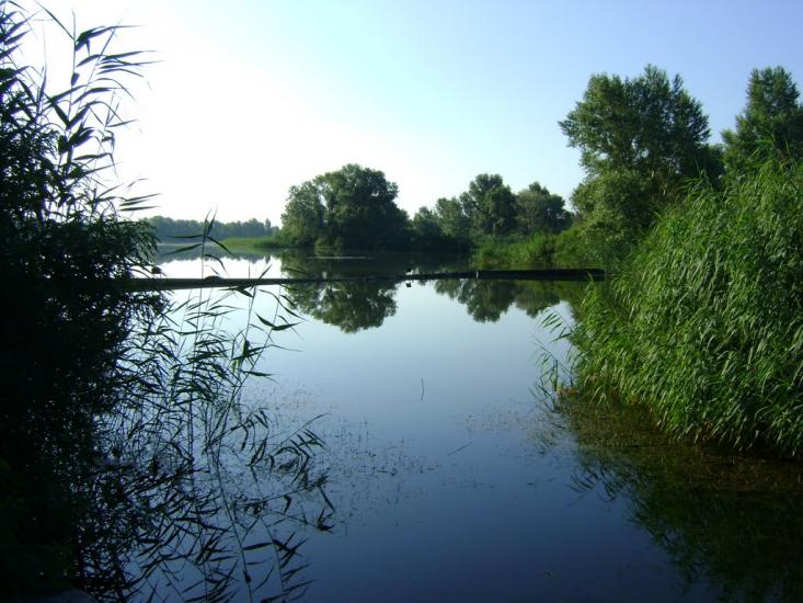 Чикалівка з panoramio.com - Чикаловка