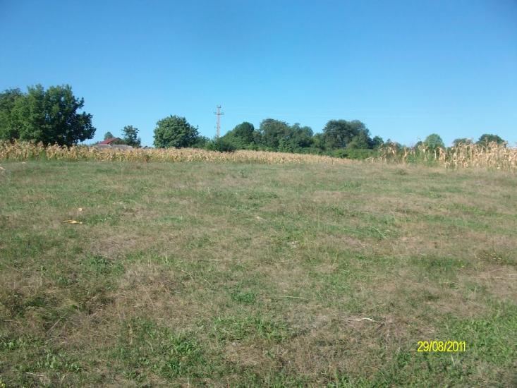 Тарасівці з panoramio.com - Тарасовцы
