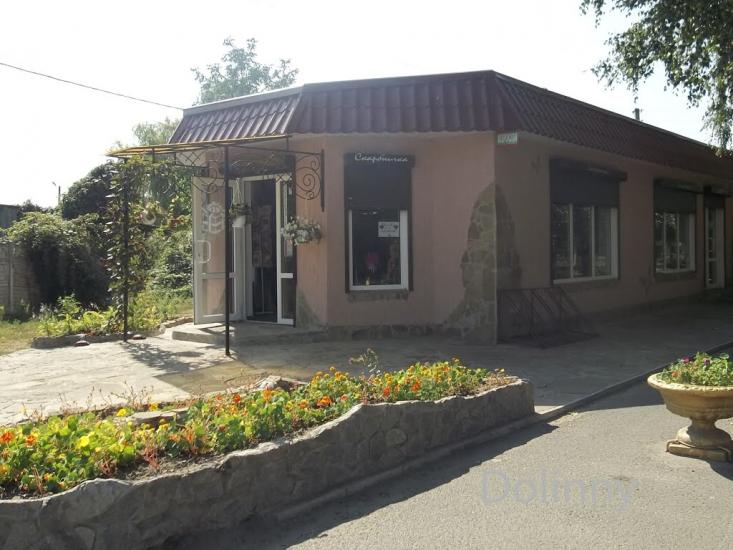 Червонозаводське з panoramio.com - Червонозаводское
