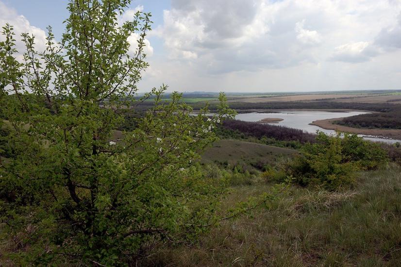 Олександро-Калинове з panoramio.com - Oleksandro-Kalynove