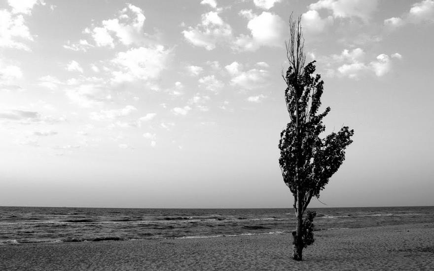 Мелекине з panoramio.com - Мелекино