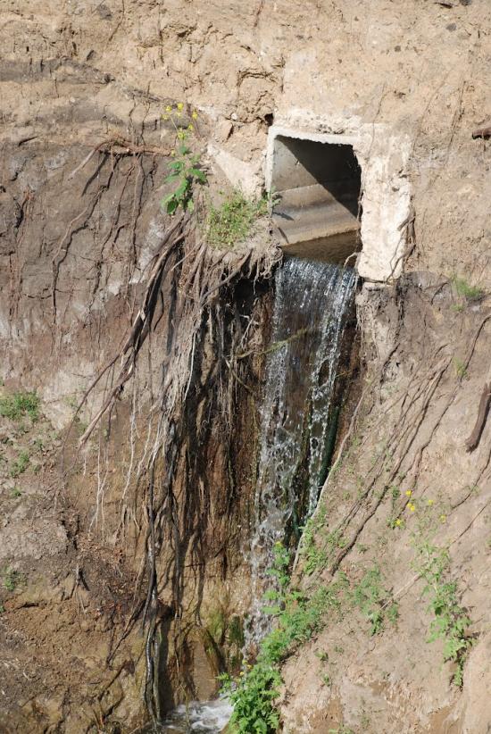 Пильна з panoramio.com - Пыльная