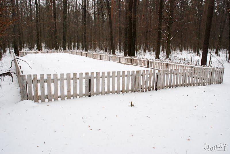 Довжик з panoramio.com - Довжик