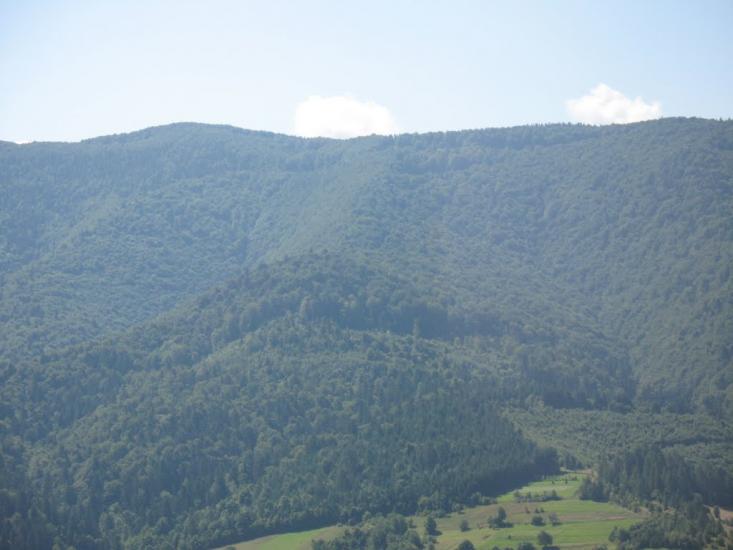 Ставне з panoramio.com - Ставне
