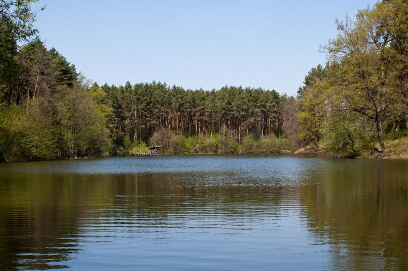 Козлин з panoramio.com - Козлин