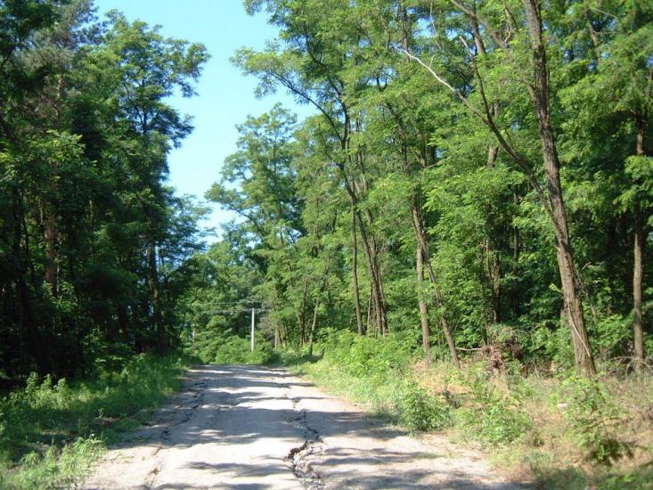 Нагірне з panoramio.com - Nagirne