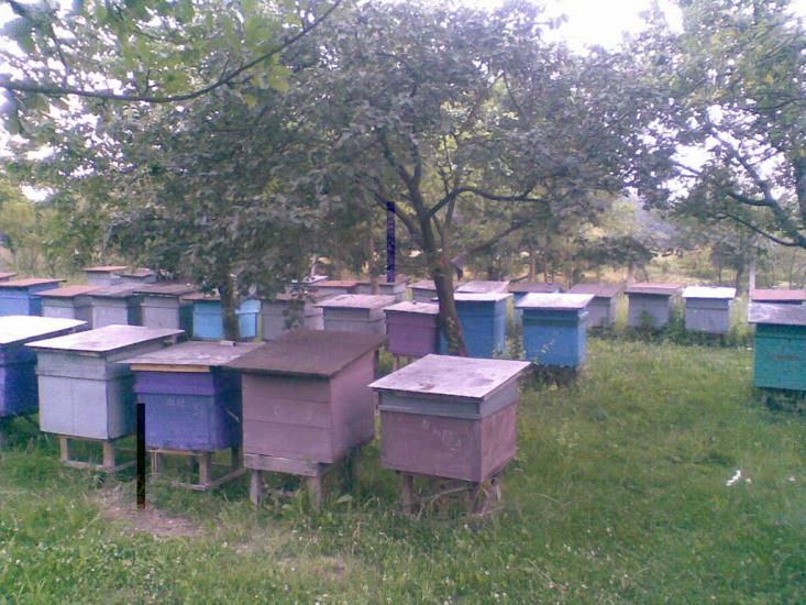 Нижня Апша з panoramio.com - Нижняя Апша