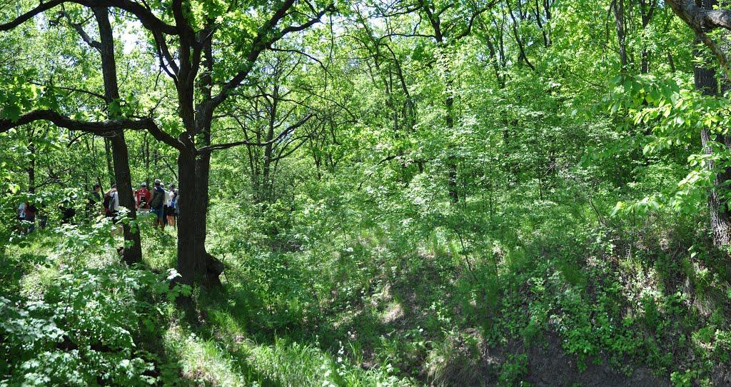 Великий Тростянець з panoramio.com - Великий Тростянец