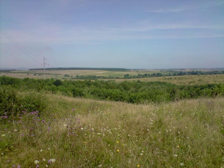 Скелівка з panoramio.com - Скелевка