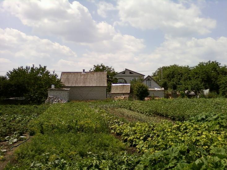 Кринички з panoramio.com - Кринички