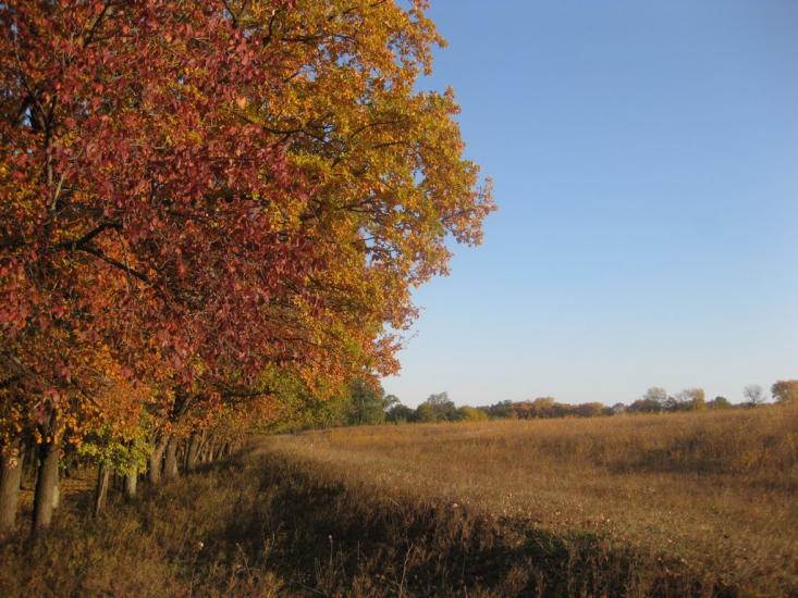 Садки з panoramio.com - Sadky