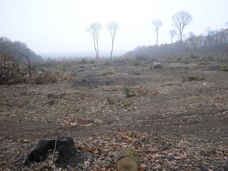 Кормань з panoramio.com - Кормань