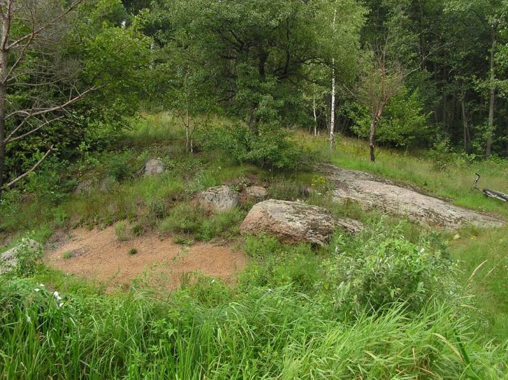 Струмок з panoramio.com - Струмок