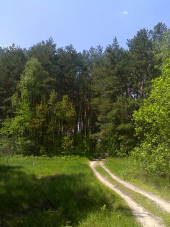 Березань з panoramio.com - Березань