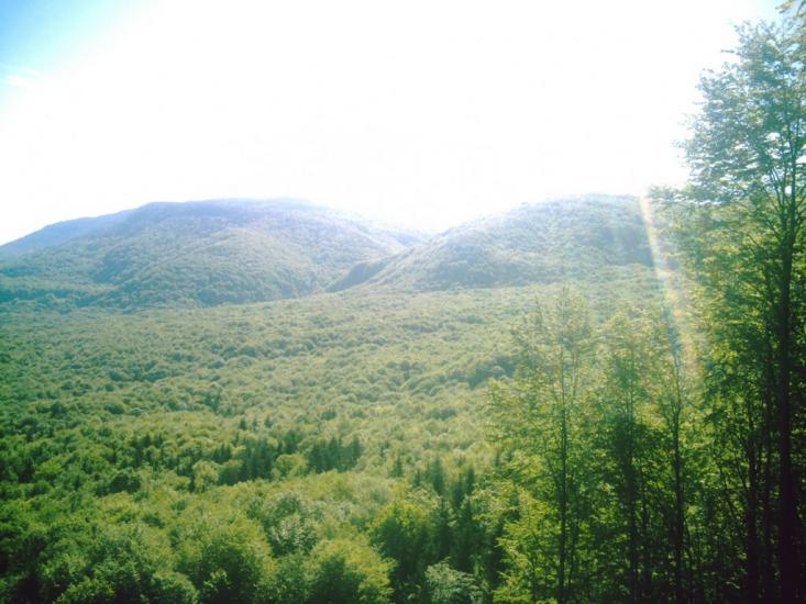 Яблунівка з panoramio.com - Яблоновка