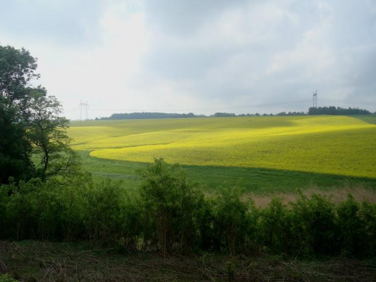 Нестерівці з panoramio.com - Нестерівці